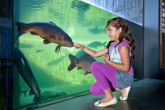 Teichscheibe Müritzeum c Mirko Runge