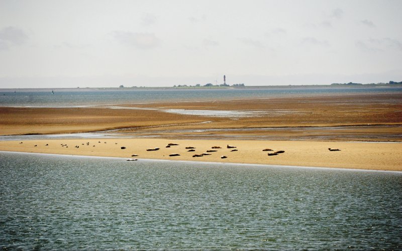 Wattenmeer in Schleswig-Holstein