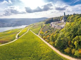 Niederwalddenkmal Herbst c www.rheingau.com Woody T. Herner1