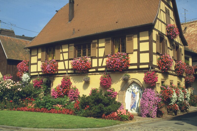 Fachwerkhaus im elsässischen Bergheim