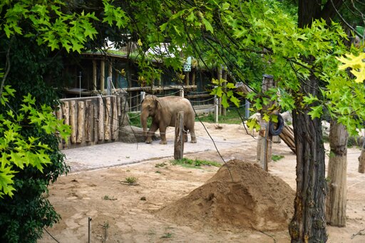 Karlsruher Zoo