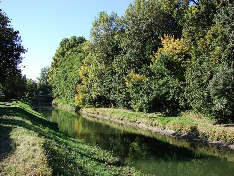Ufer der Leitha