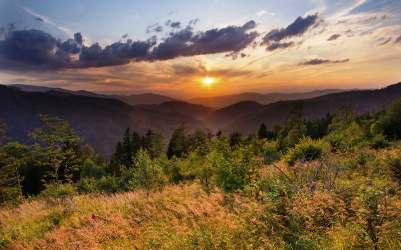 Schwarzwald in Baden-Württemberg