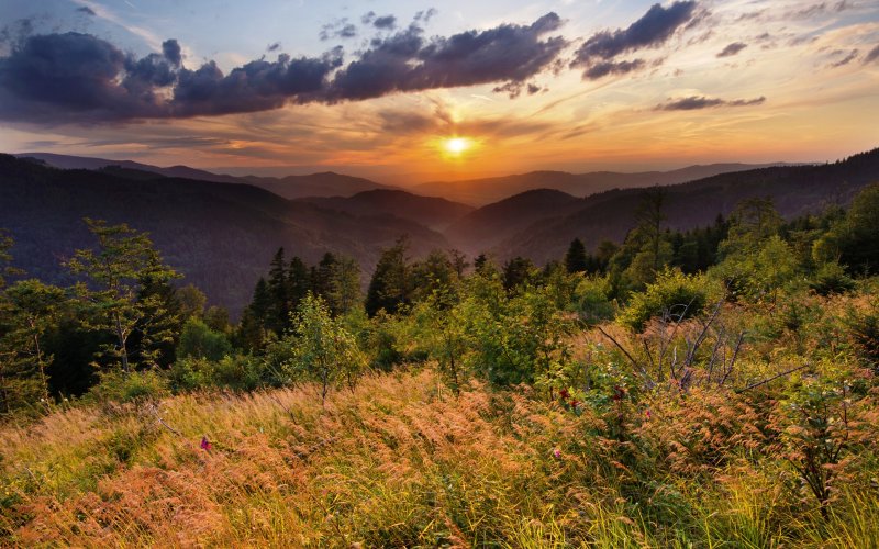 Schwarzwald Natur mit Sonnenuntergang