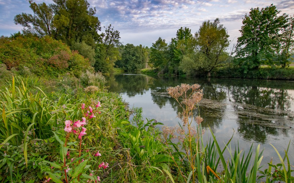 Rieden