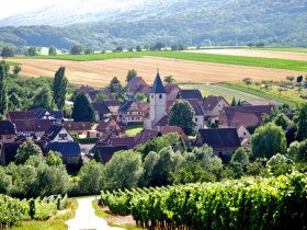 Cleebourg - Office de Tourisme de Wissembourg