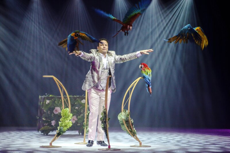 Vogelshow im Euro-Park in Rust