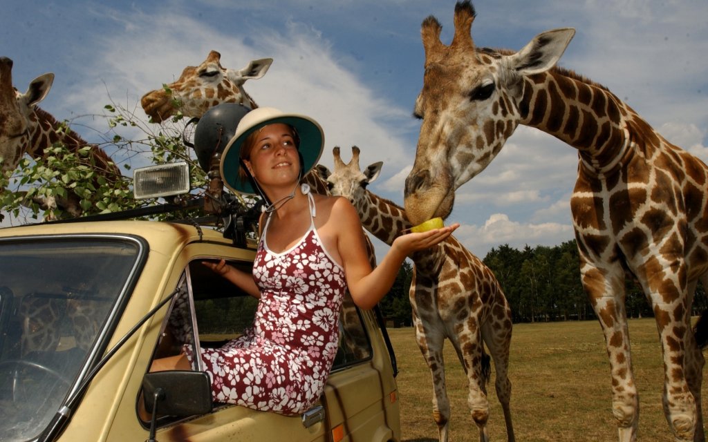 Frau füttert Giraffe im Serengeti-Park