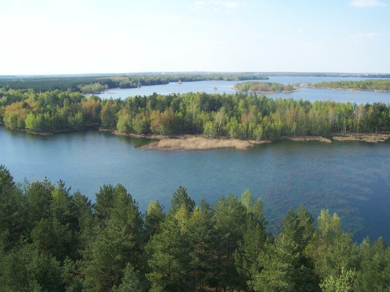 Ausblick vom  Aussichtsturm Senftenberger See
