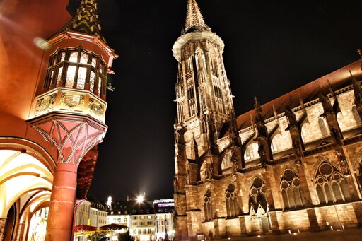 Freiburger Münster