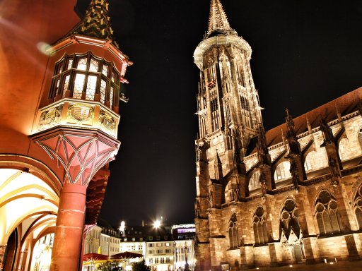 Gässle, Bächle und das Freiburger Münster