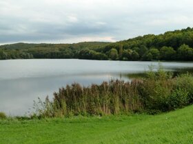 Plan d'eau c Office de Tourisme Niederbronn-les-Bains