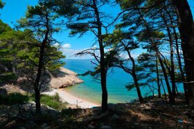 Lun---Tovarnele-5d9139d6095c7516543846 huge