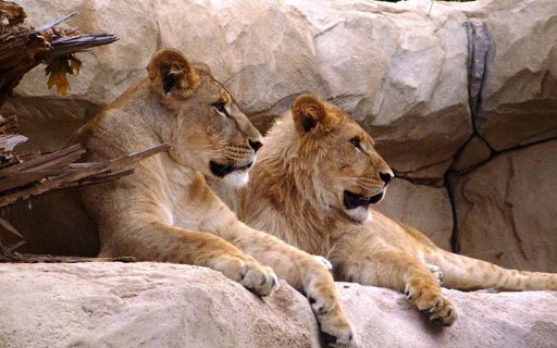 Zoo Dresden  - Tiere zum Anfassen