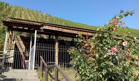 Römische Kelteranlage 1