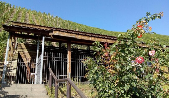 Römische Kelteranlage 1