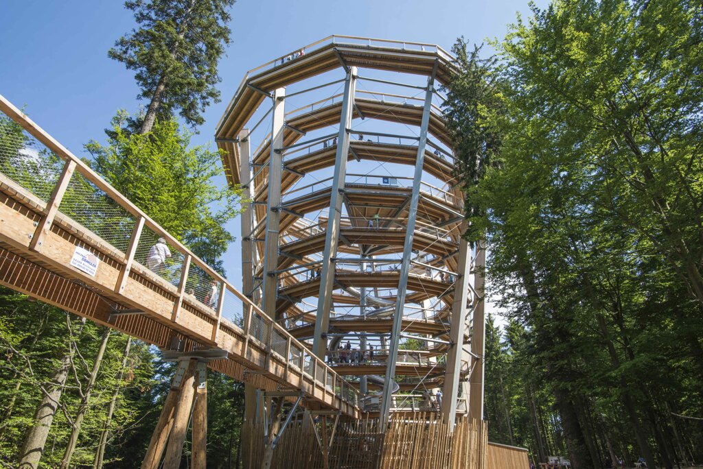 Baumwipfelpfad Bad Wildbad C Erlebnis Akademie AG (5)