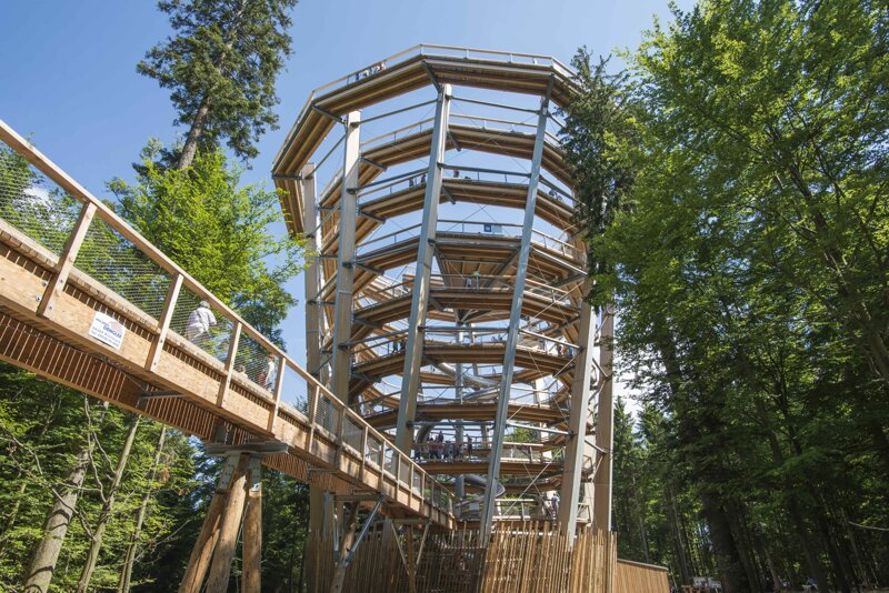 Baumwipfelpfad Bad Wildbad