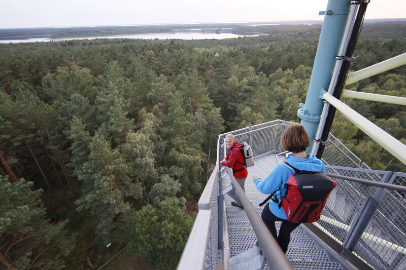Auf dem Käflingsbergturm im Müritz Nationalpark