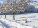 Winter-Auszeit im idyllischen Schwarzwald