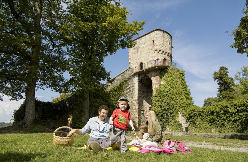 Nagold, Burgruine Hohennagold, Ausflugsziel