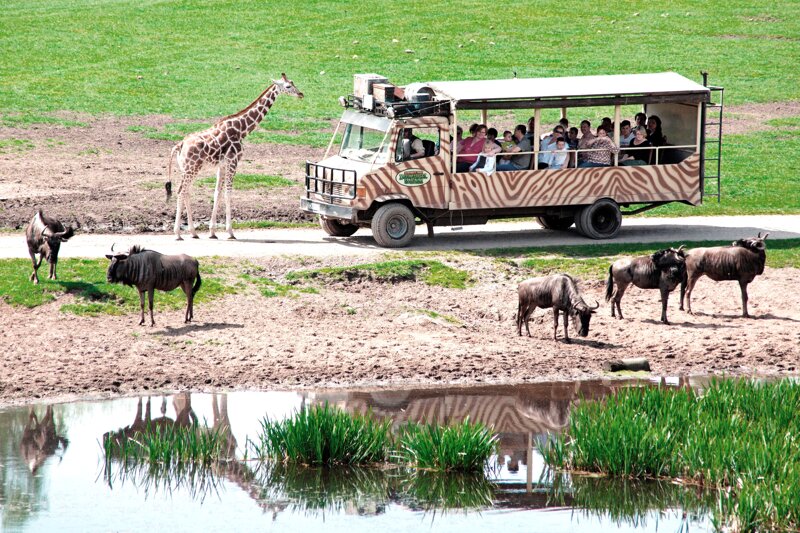 Serengeti-Park Hodenhagen Safari