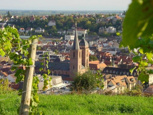 Wein, Sekt, Schloss und die Altstadt von Neustadt