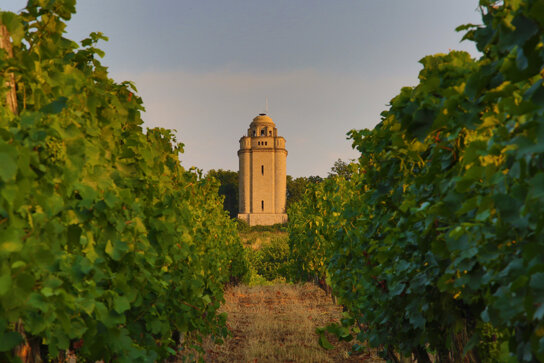 Bismarckturm Ingelheim
