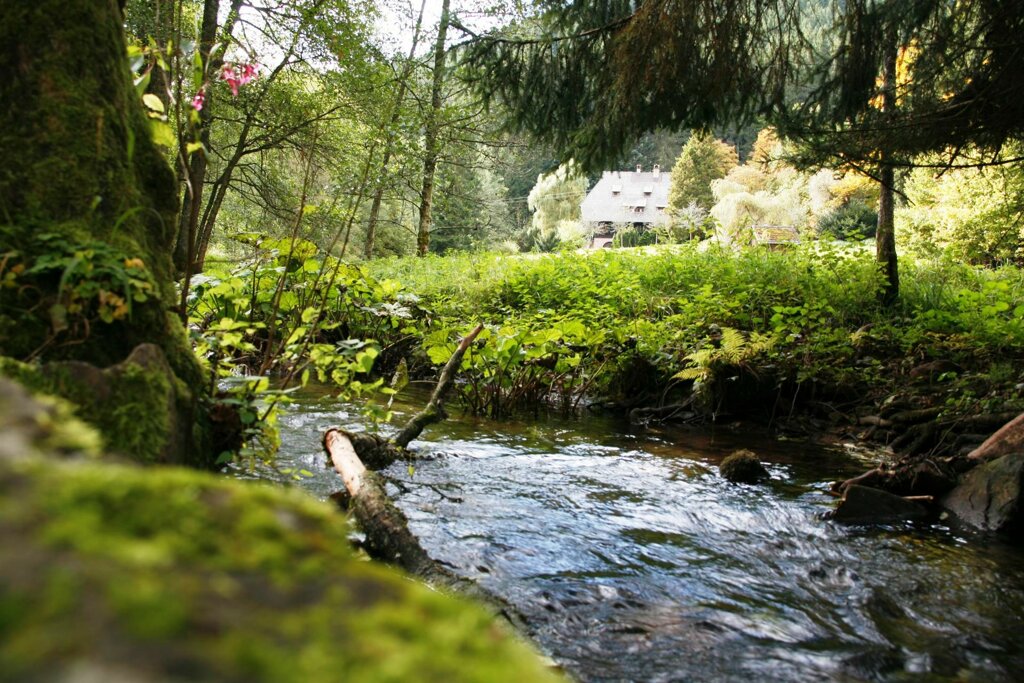 Kleine Enz C Teinachtal Touristik