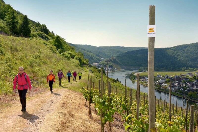 Moselsteig bei Bruttig-Fankel © Tourist-Information Ferienland Cochem