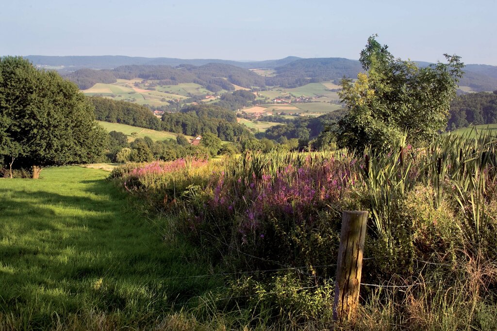 Landschaft odenwald c Odenwald Tourismus GmbH