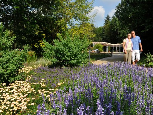 Therme wie am Toten Meer, Heide für zu Hause