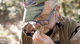 pu,2021,acqualagna,tartufo di acqualagna,o,35838,regione marche