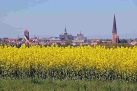 rostock-rapsfeld