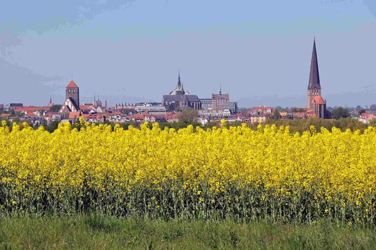 rostock-rapsfeld