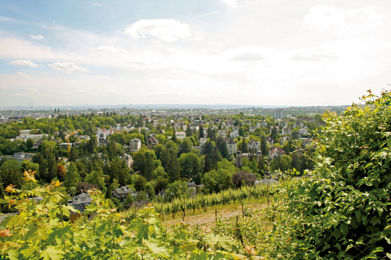Panoramablick vom Neroberg auf Wiesbaden