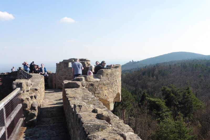 Château du Hohlandsbourg – Panoramablick auf die Vogesen und das Rheintal