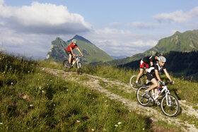 Mountainbike c Adolf Bereuter Bregenzerwald Tourismus