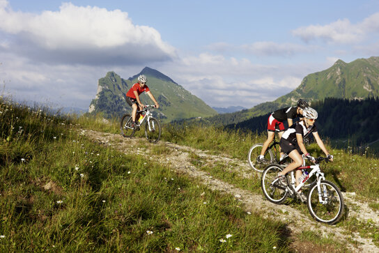Mountainbike c Adolf Bereuter Bregenzerwald Tourismus