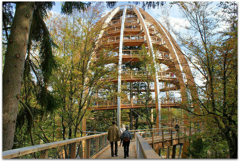 Baumwipfelpfad und Turm im Bayerischen Wald