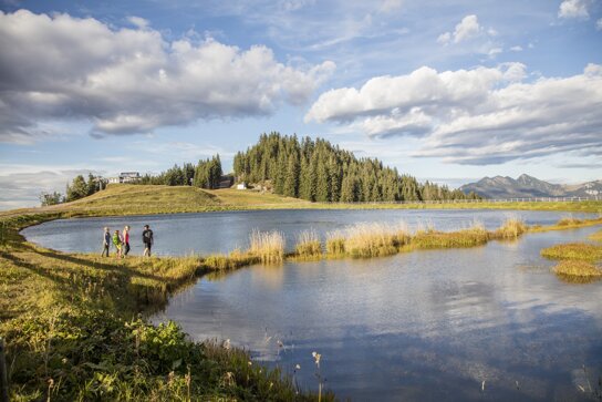 See c Kitzbüheler Alpen Marketing GmbH Defrancesco