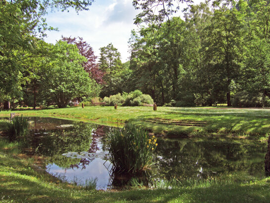 Teich an der Kneipp-Anlage Arenarisquelle 27 05 2007 c Karl Steuding Bad Tabarz