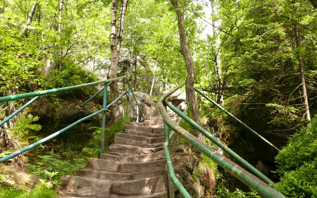 Waldstieg in Niederschlesien