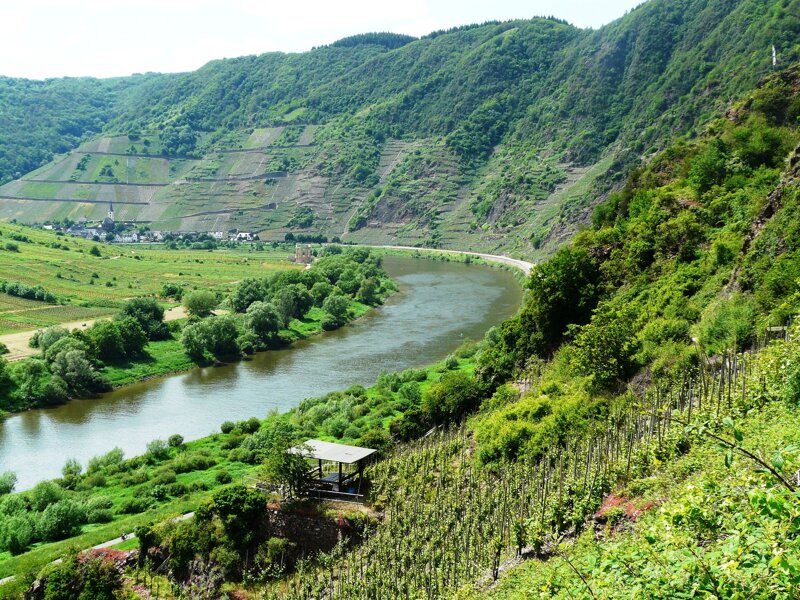 Blick über Mosel und Weinberge