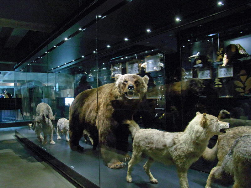 Ehemalige Bewohner Ruhrmuseum