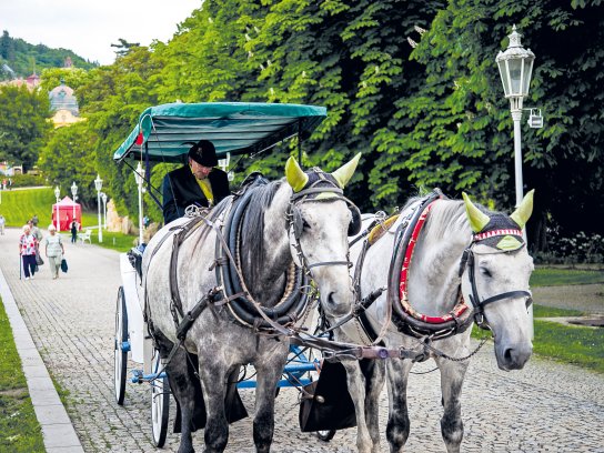 Pferde-Marienbad