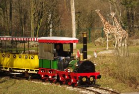 Kleinbahn mit Giraffen