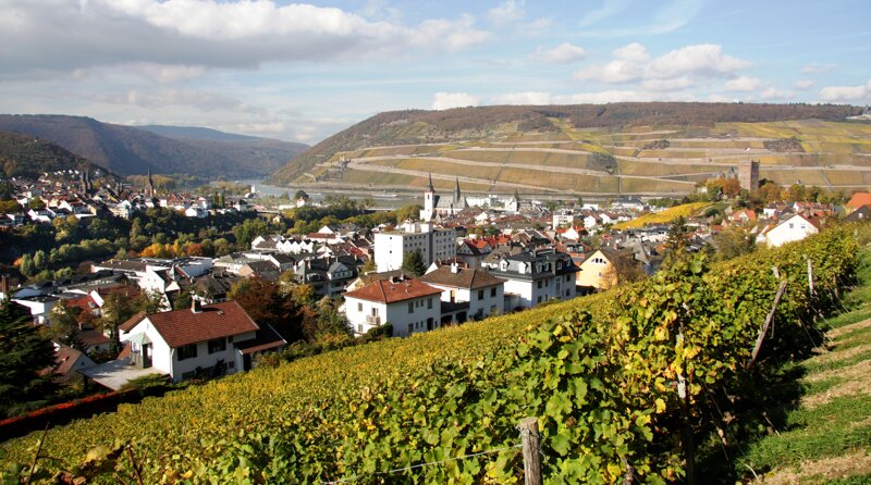 Rheintal bei Worms – Blick auf den Rhein