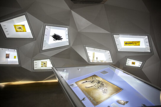 Besucherzentrum Schatzkammer