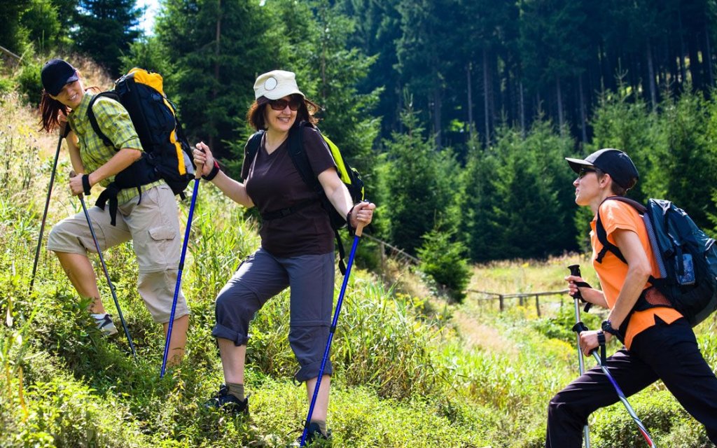 Wanderer im Harz